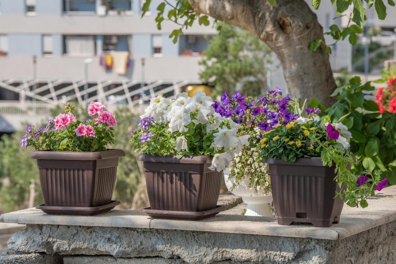 Apartment Strawberry Makarska Exterior foto